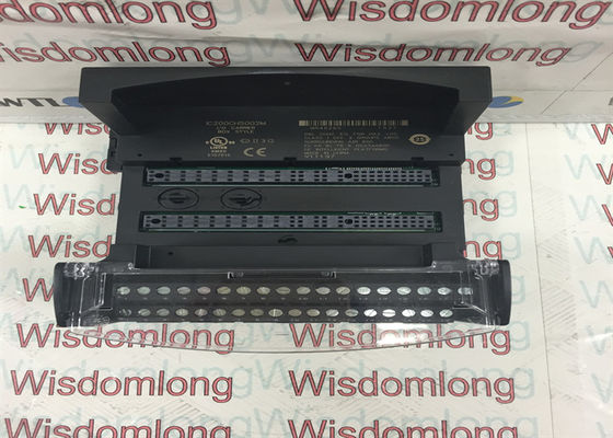 GE 입출력 IC200CHS002M 캐리어 VERSAMAX 로컬 박스 스타일 통합형