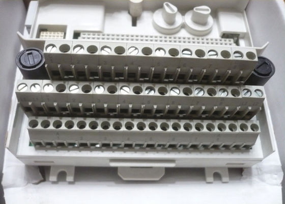 ABB TU839 3BSE046966R1 모듈 종료 단위 확장 MTU 250V