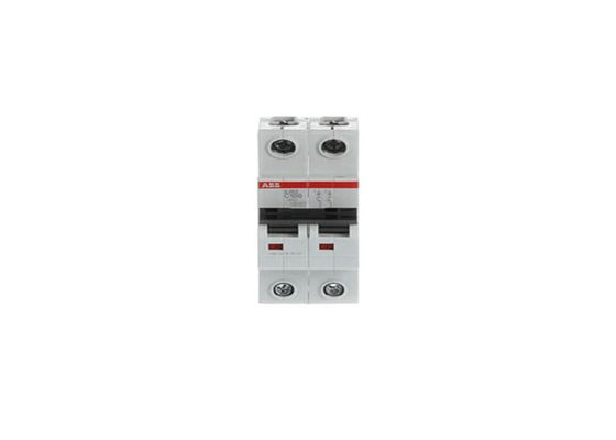 ABB S202-C100 2CDS252001R0824 S202-C100 소형 회로 차단기 - 2P - C - 100A