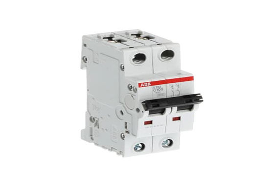 ABB S202-C100 2CDS252001R0824 S202-C100 소형 회로 차단기 - 2P - C - 100A