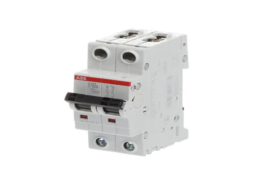ABB S202-C100 2CDS252001R0824 S202-C100 소형 회로 차단기 - 2P - C - 100A