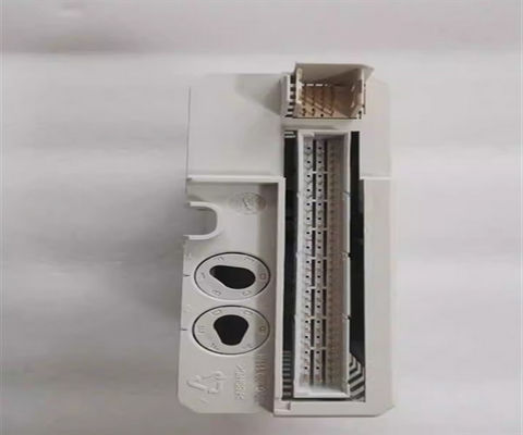 ABB 3BSE008516R1 아날로그 입력 출력 종료 모듈 AI810
